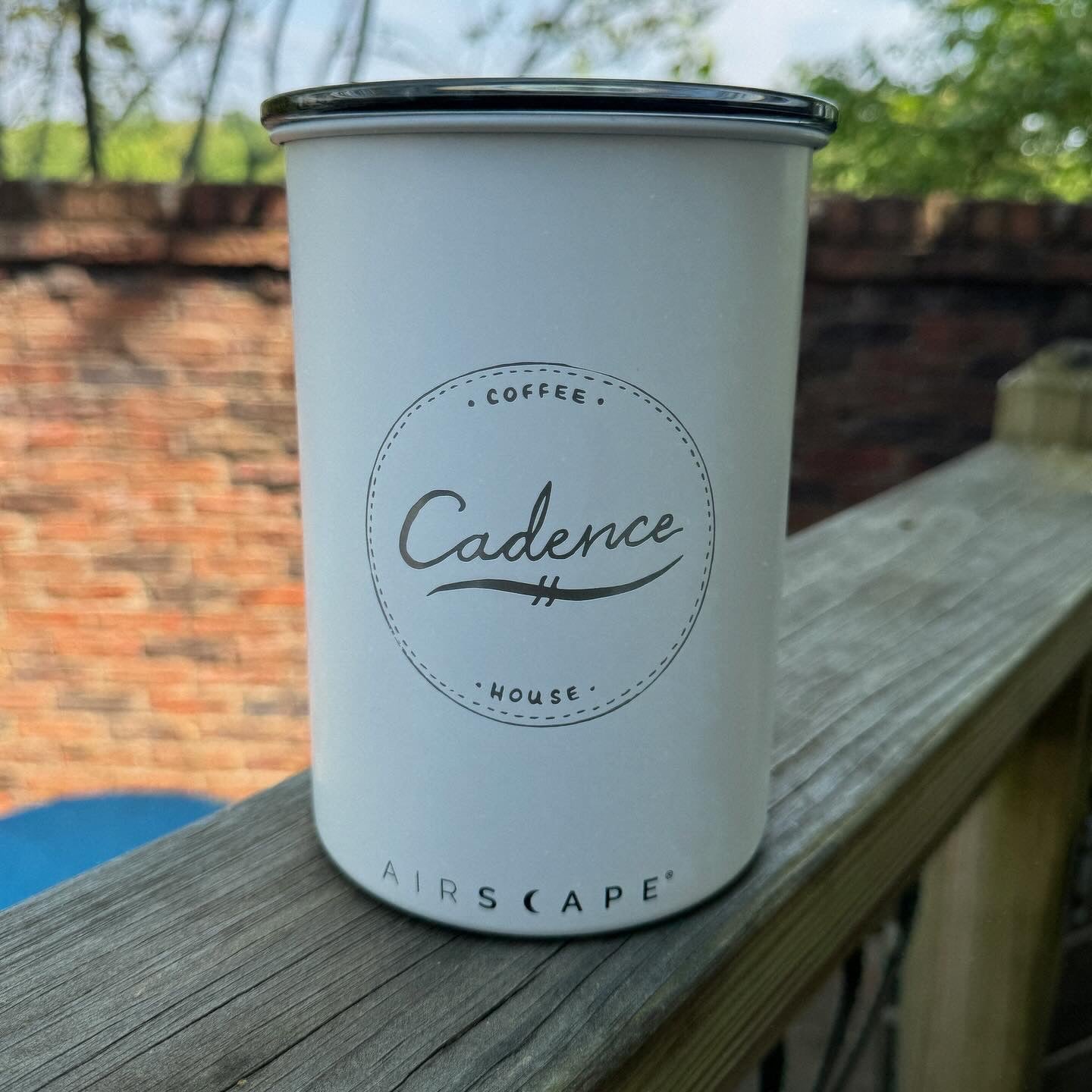 Airscape Coffee Canister - Mayfly Coffee